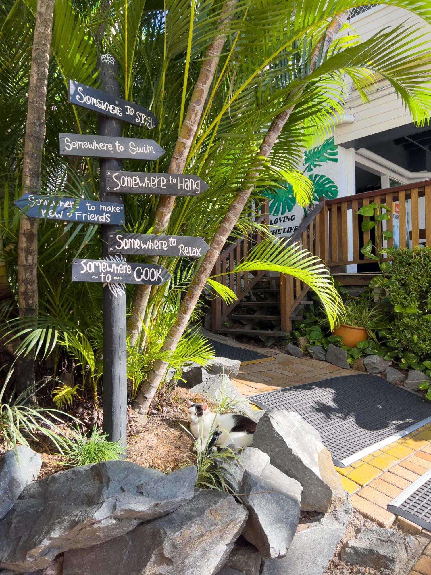 Somewhere To Stay Backpackers Brisbane Buitenkant foto